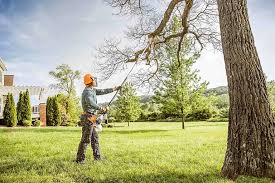St Paul, TX Tree Care Company