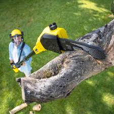 Lawn Watering Services in St Paul, TX
